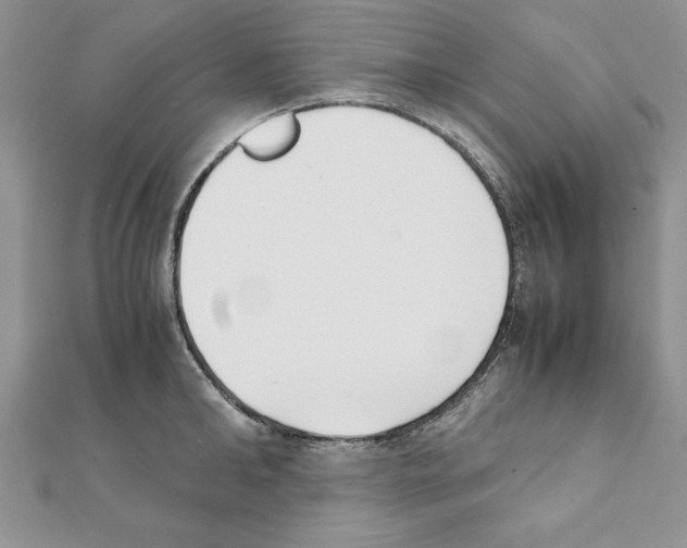 X0000111350902200908211231