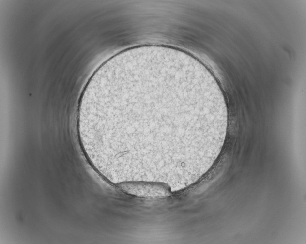 X0000111350903200908211231