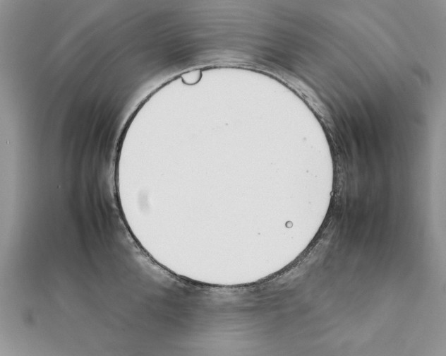 X0000111350904200908211231