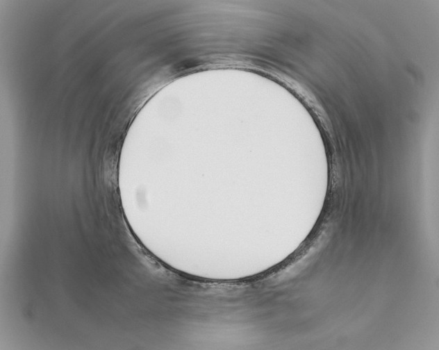 X0000111350905200908211231