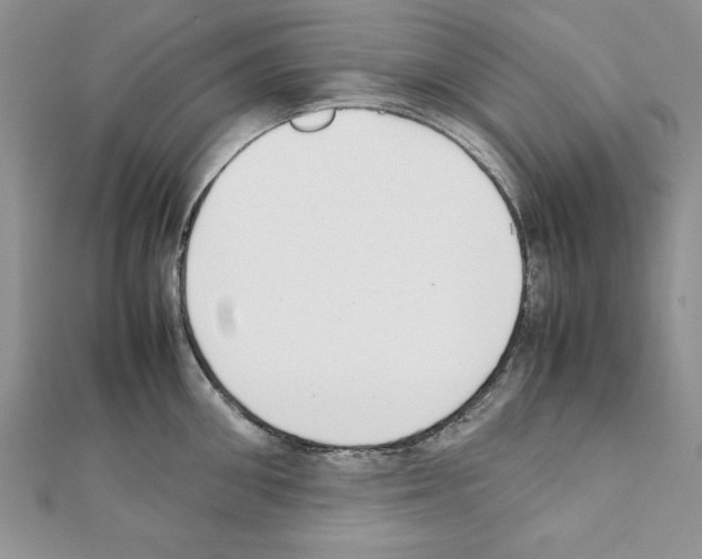 X0000111350906200908211231