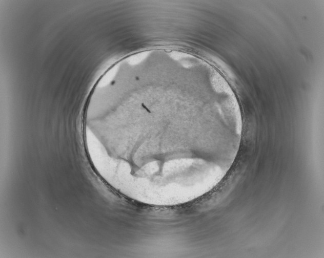 X0000111350907200908211231