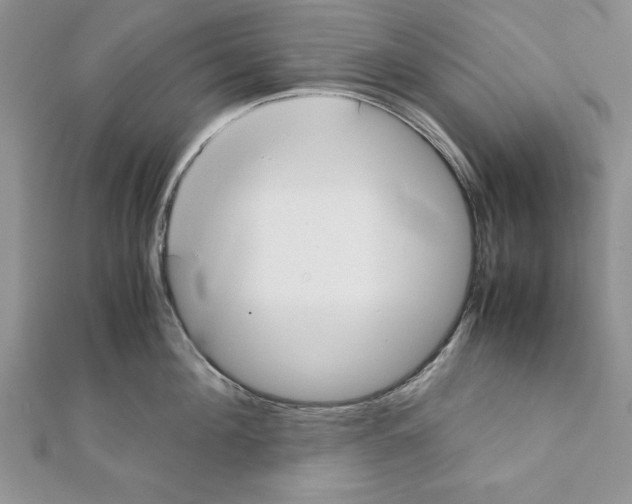 X0000111350908200908211231