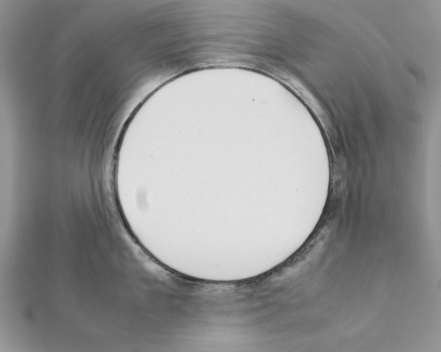 X0000111350909200908211231