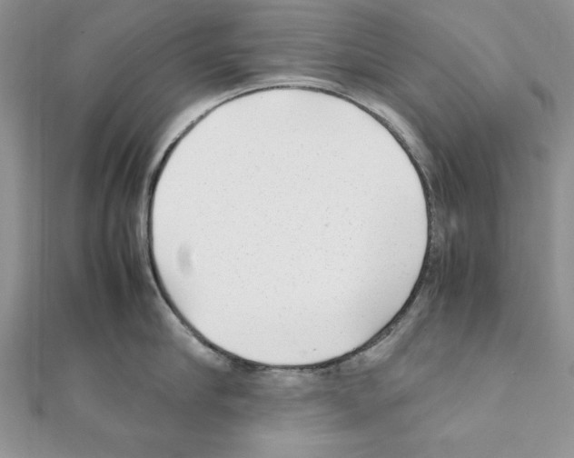 X0000111350910200908211231