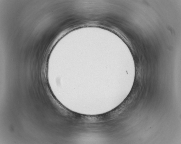 X0000111350911200908211231
