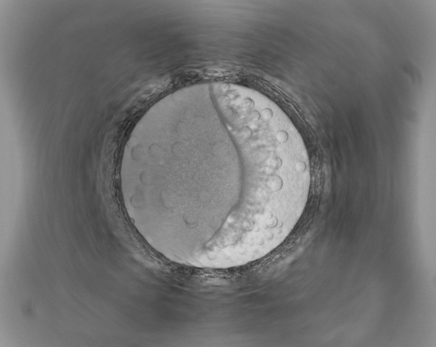 X0000111350913200908211231