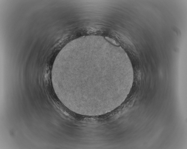 X0000111350914200908211231