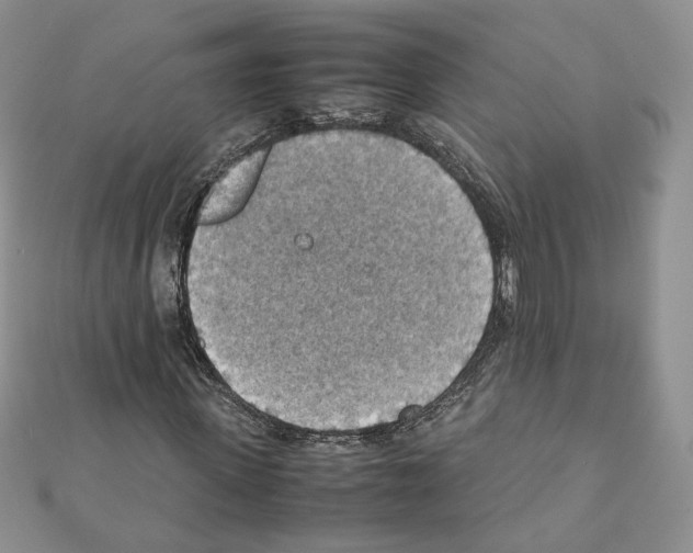 X0000111350915200908211231