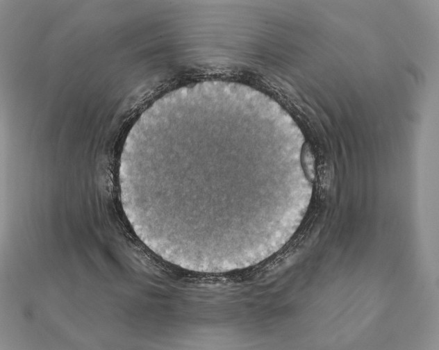 X0000111350916200908211231
