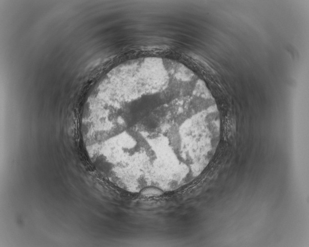 X0000111350917200908211231