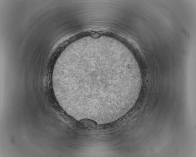 X0000111350920200908211231