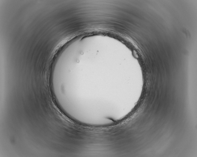 X0000111350922200908211231