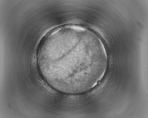 X0000111350923200908211231