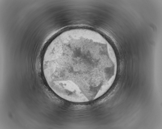 X0000111350925200908211231