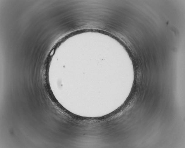 X0000111350926200908211231