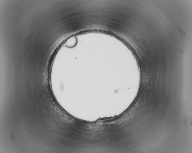 X0000111350927200908211231