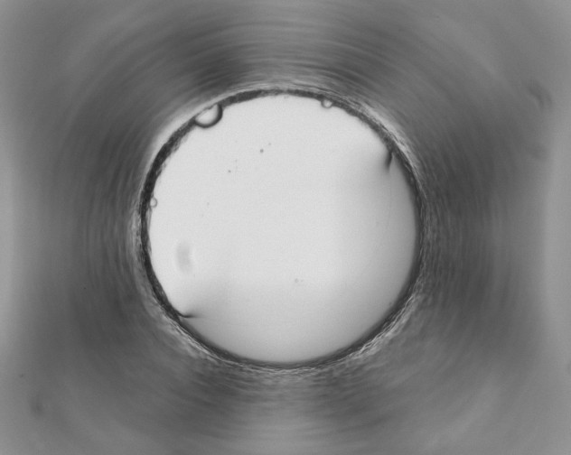X0000111350928200908211231