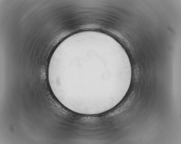 X0000111350929200908211231