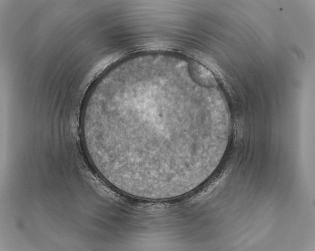 X0000111350930200908211231