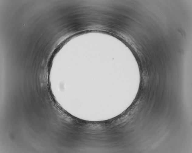 X0000111350931200908211231