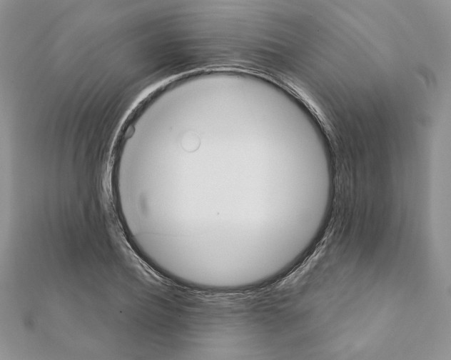 X0000111350932200908211231