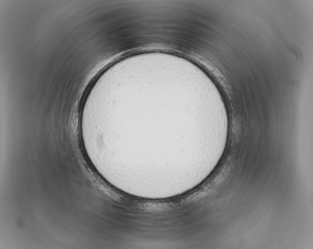 X0000111350933200908211231