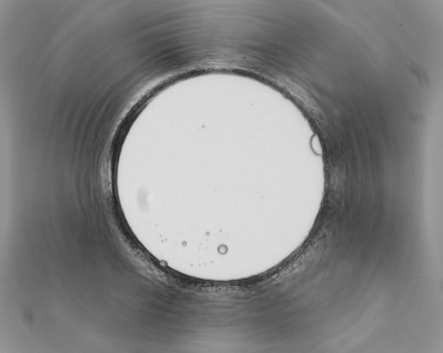 X0000111350934200908211231