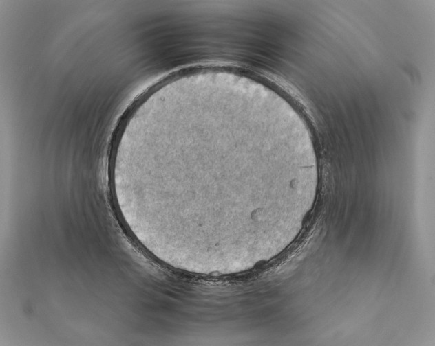 X0000111350935200908211231