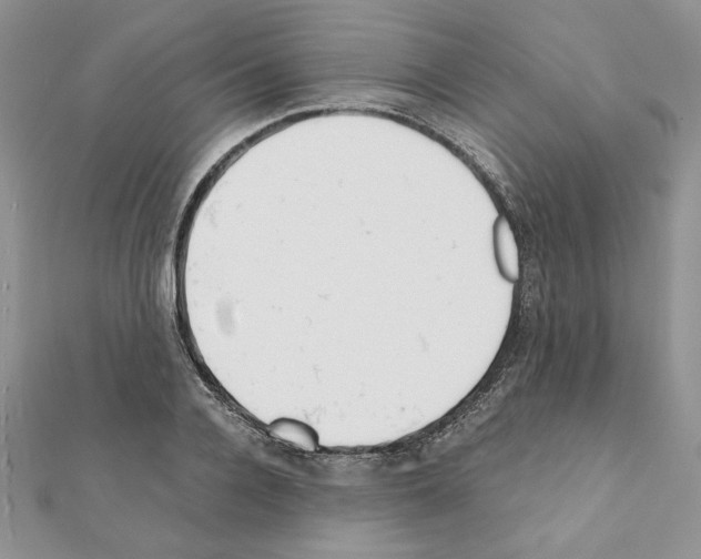 X0000111350936200908211231