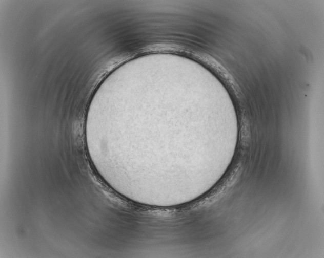 X0000111350937200908211231
