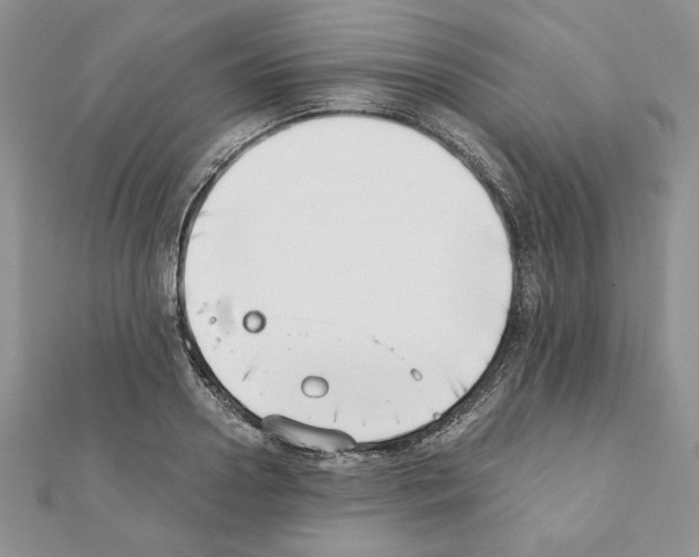 X0000111350938200908211231