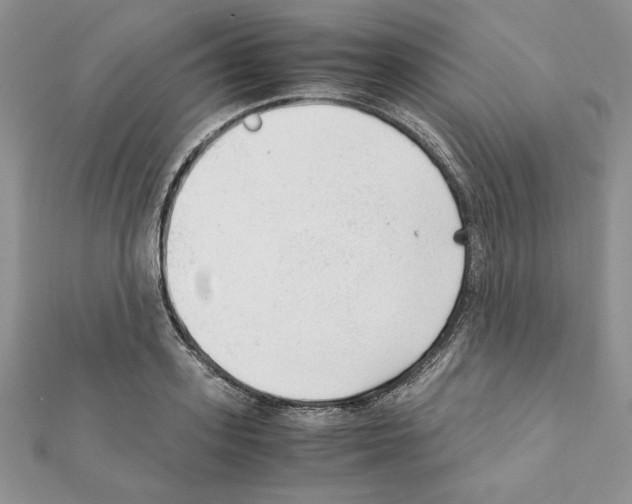 X0000111350939200908211231