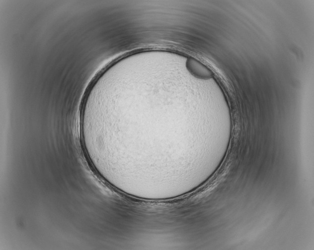 X0000111350940200908211231