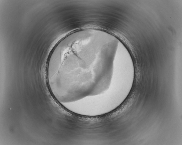 X0000111350941200908211231