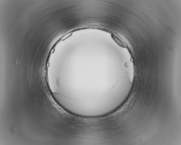 X0000111350944200908211231