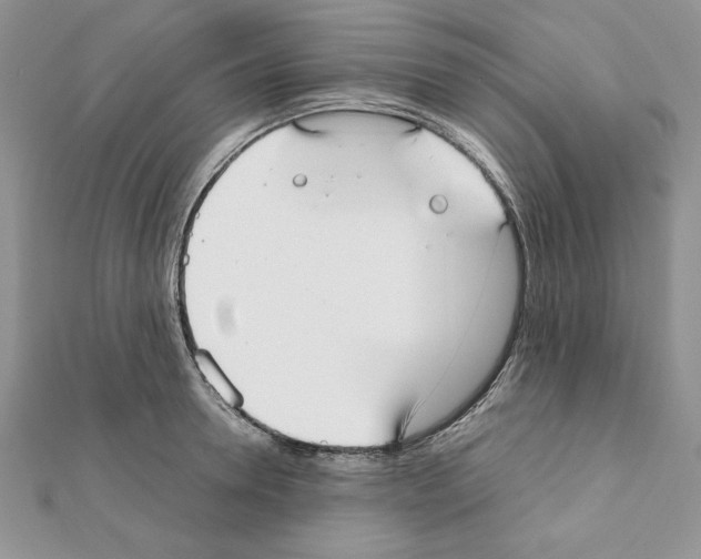 X0000111350946200908211231