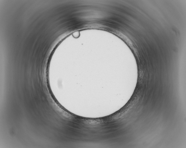 X0000111350947200908211231