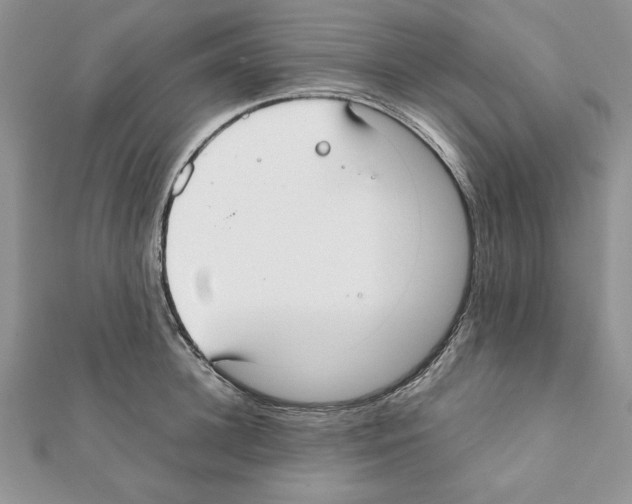 X0000111350948200908211231