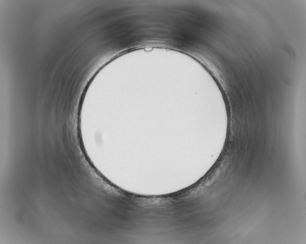 X0000111350949200908211231