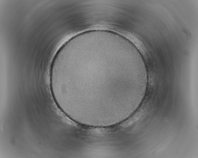 X0000111350950200908211231