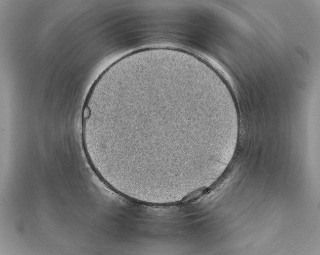 X0000111350951200908211231