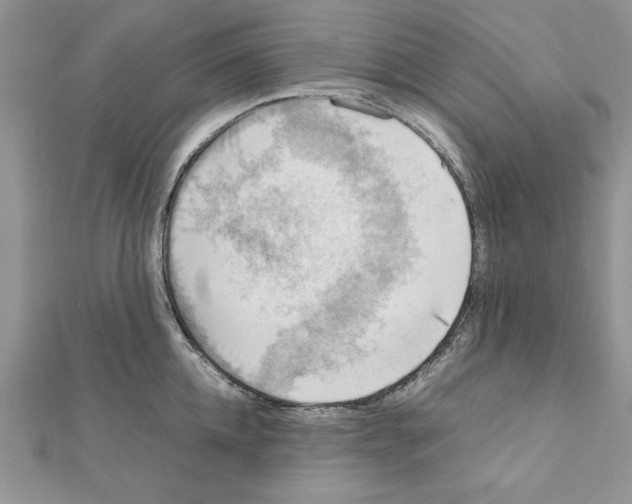 X0000111350952200908211231
