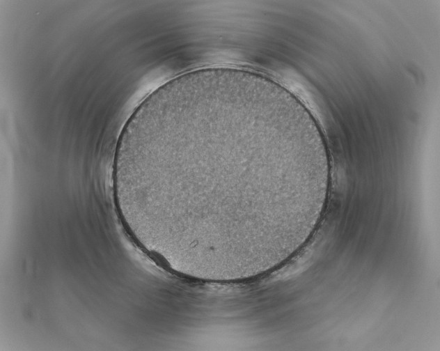 X0000111350954200908211231