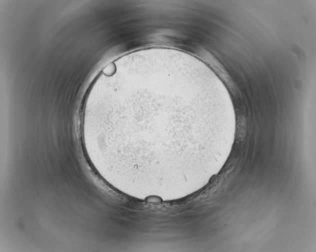 X0000111350955200908211231