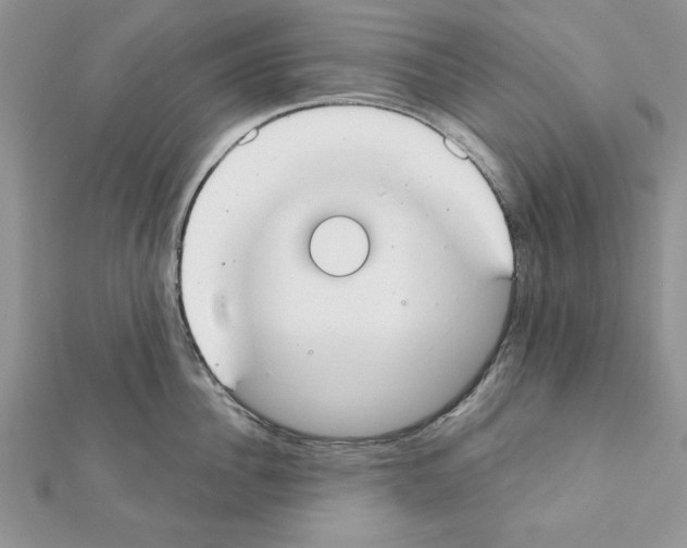 X0000111350956200908211231
