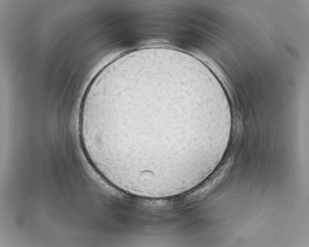X0000111350957200908211231