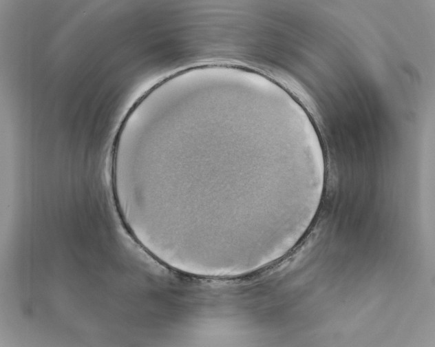 X0000111350958200908211231