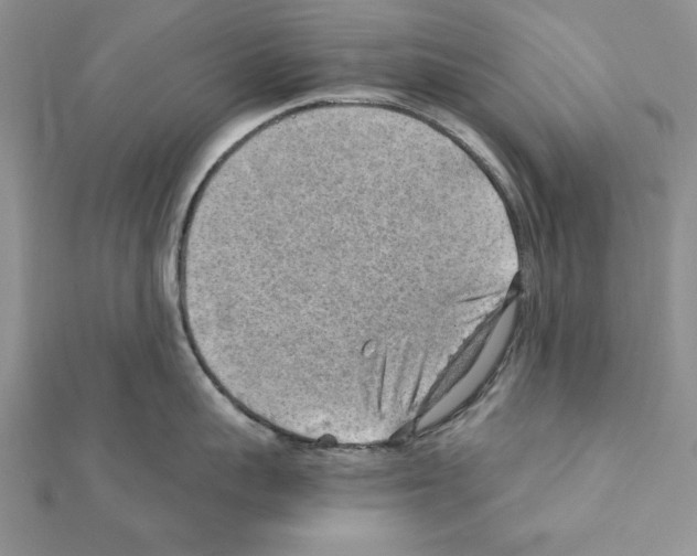 X0000111350959200908211231