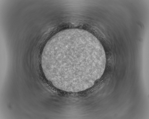 X0000111350961200908211231